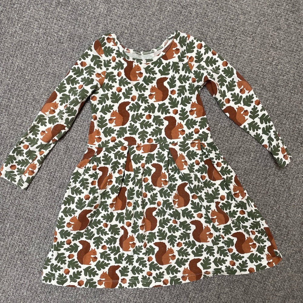 Winter Water Factory Squirrel acorn Dress Size 6